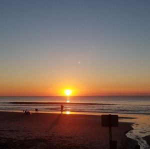 Meet your Posher, Penny